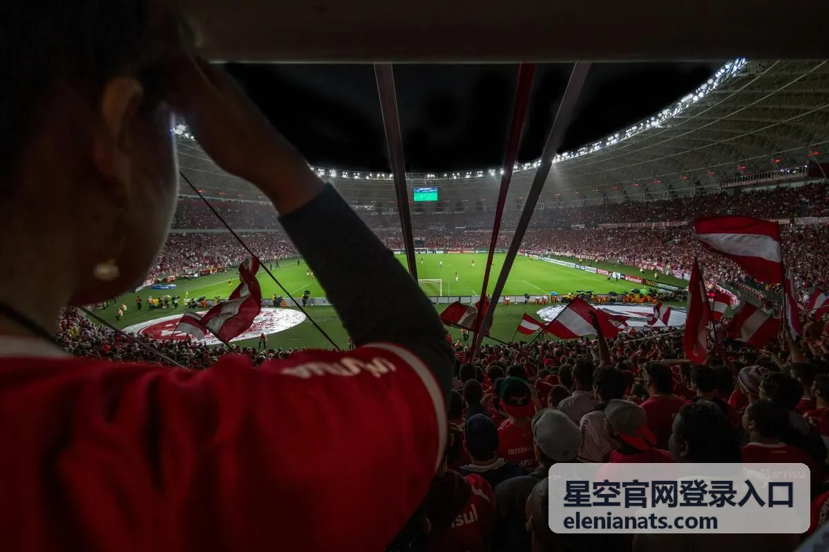 星空官网登录入口账号与安全设置界面示意